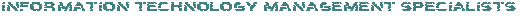 Information Technology Management Specialists